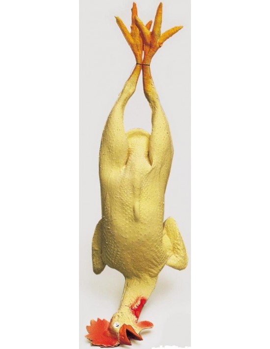 Pollo muerto de látex grande S. romá Látex